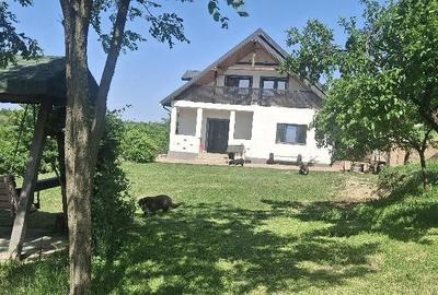 Casă cu Teren 2860 Mp în Țigănași - 8