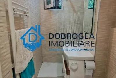 ALUNISULUI- 2 CAMERE, PARTER, CENTRALA GAZ ,MOBILAT SI UTILAT - 3
