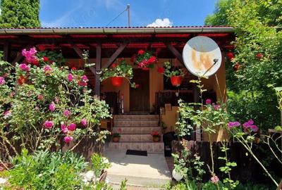 Casa de ?ara de vanzare - 7