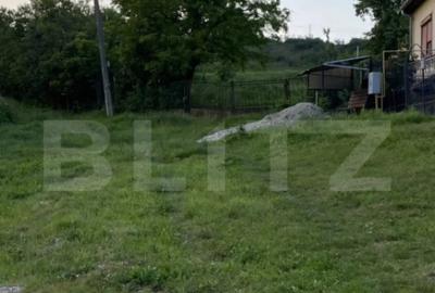 Teren de 21450 mp, în Turda - 3