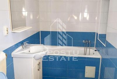 Apartament cu o camera, mobilat, zona Dambovita - 4