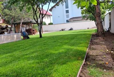 Unde spatiul intalneste eleganta - Vila cu suflet in inima Piperei | 0% Comision Unde spatiul intalneste eleganta - Vila cu suflet in inima Piperei | 0% Comision - 6