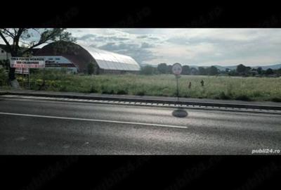 Teren de 5000 mp, în Primăverii - 6