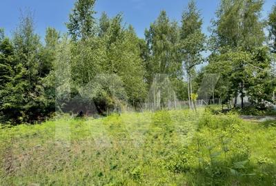 Teren de vanzare pe Valea Avrigului. Locatie turistica, ideala pentru investitie
