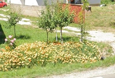 Teren de 1280 mp, în Cauaceu - 2