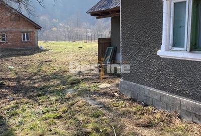 Teren Construcții intravilan de 3400 mp, în Negulești - 3