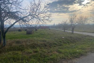 Spațiu comercial, în Urvind - 3