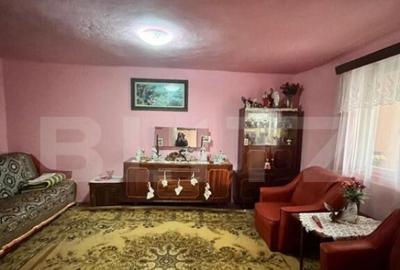 Casa individuala + Teren 4600 mp- Siret - 1