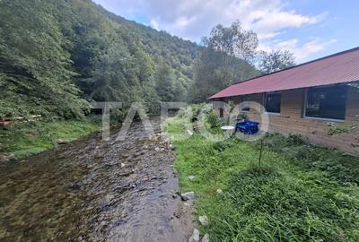 Spatiu de vanzare in Valea Macesului judel Valcea iesire la Lotru - 25