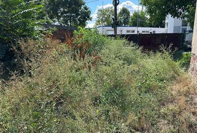 Ideal Afacere 3 Cladiri 2 Fronturi Stradale - 8