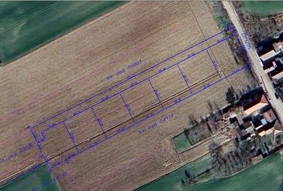 Teren Construcții intravilan de 640 mp, în Sânnicolau Român