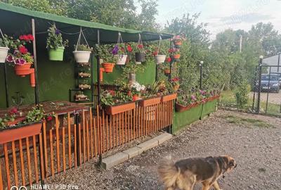 Spațiu comercial, de 190 mp, în Buziaș - 5