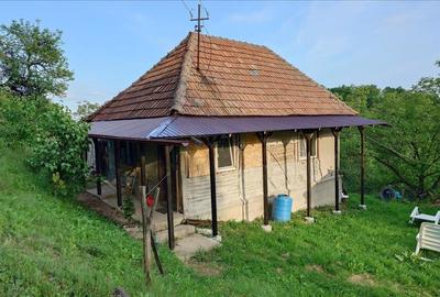 Casa cu teren si padure la tara - 2