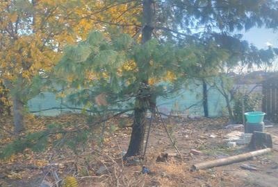 Casă cu 4 camere în Cenad - 4