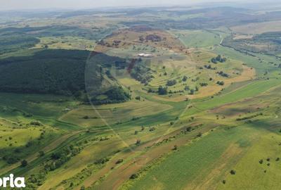 Teren de 3000000 mp, în Bârghiș - 4