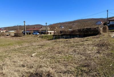 Teren de 720 mp, în Urlați - 4