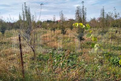 Teren intravilan de vanzare, 1400 mp, zona Bercu Rosu - 10