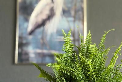 Apartament cu 3 camere decomandat în Exterior Vest - 4