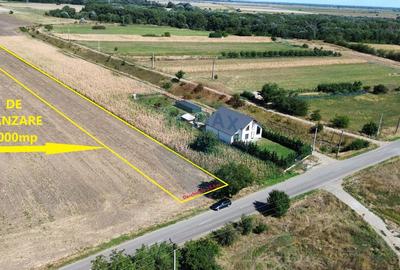 Teren 5,000mp Vanatori - 3