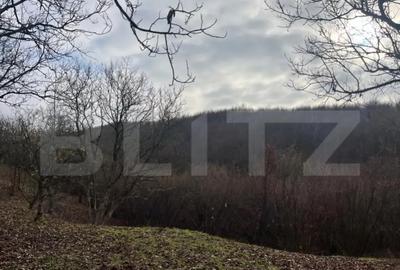 Teren de 40600 mp, în Central