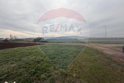 Teren de 405 mp, în Partoș - 4