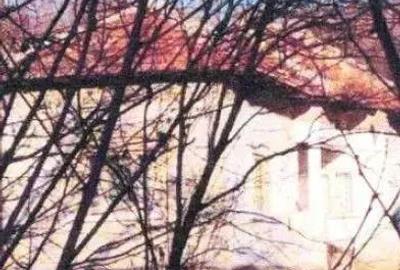 Casa si teren Valea Mare Podgoria, cota 1/2 , ID: R2618541 - 4