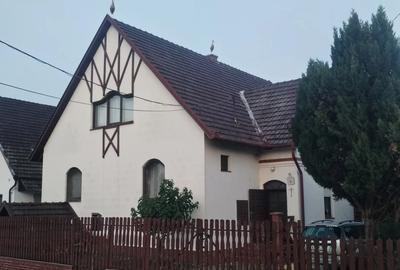 Vand Vila in Ungaria - Mezohegyes, 40 km de Arad - 2