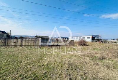 Vanzare teren comercial industrial situat pe strada Narciselor , Targu-Jiu - 2