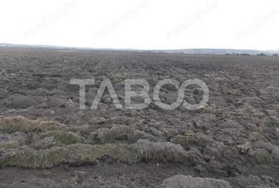 Teren intravilan de vanzare 10.000 mp in zona Industriala Vest Sibiu - 1