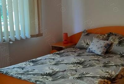 Casă în Râmeț - 6