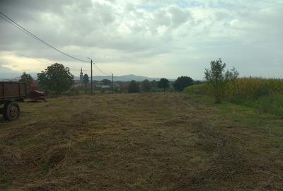 Teren Construcții intravilan de 3687 mp, în Răchita - 5