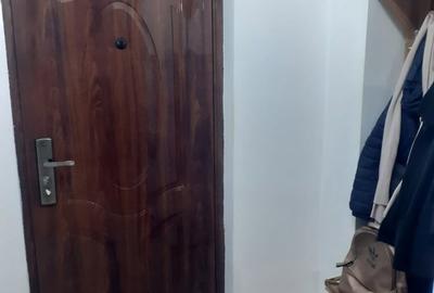 Garsonieră semidecomandată în Brazda lui Novac - 1