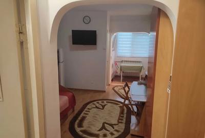 Apartament cu 1 camera, decomandat, zona Baza 3- Carrefour  Felicia - 3