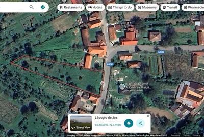 Teren de 2219 mp, în Lăpugiu de Jos - 3