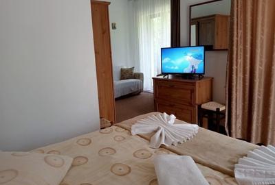 Pensiunea Turistica Cheile Cetatii - Rasnov - 730.000 euro - 10
