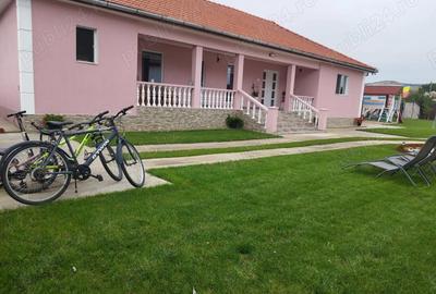 Casă cu Teren 100 Mp în Chețani - 3