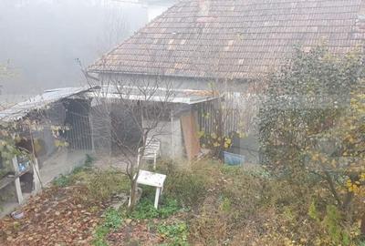 Casa de 300 mp, teren, 500 mp, Sangeorgiu de Mures - 5