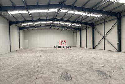 Depozit/hala/spatiu industrisl Jilava - Giurgiului - Progre - 18