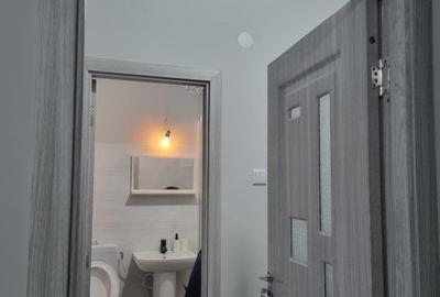 Apartament cu 2 camere decomandat în Abator - 11
