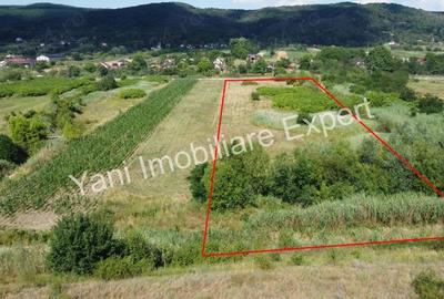 Teren de 8229 mp, în Băiculești - 1