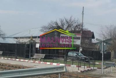 Spațiu comercial, în Tânganu - 4
