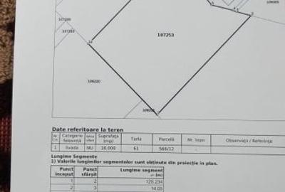 Teren Construcții extravilan de 10000 mp, în Bod - 2