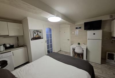 Garsonieră, mobilată în Dudești - 9