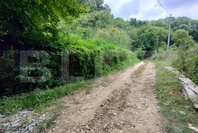 Casă cu 3 camere cu Teren 25000 Mp în Năsăud - 1