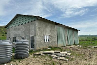 Spațiu comercial, de 300 mp, în Sud - 8