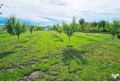 Casă cu 2 camere cu Teren 5000 Mp în Central - 2