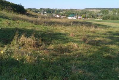 Teren de 1800 mp, în Central - 1