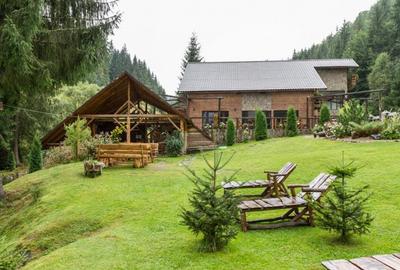 Spațiu comercial, de 600 mp, în Arieșeni - 8