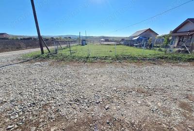 Teren intravilan, 393mp - Oarda - 1