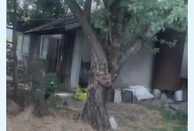 2 case 8 camere 1700m2 - 5